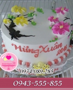 Bánh kem chúc mừng năm mới 2016