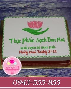 Bánh kem khai trương công ty thực phẩm sạch ban mai thái bình